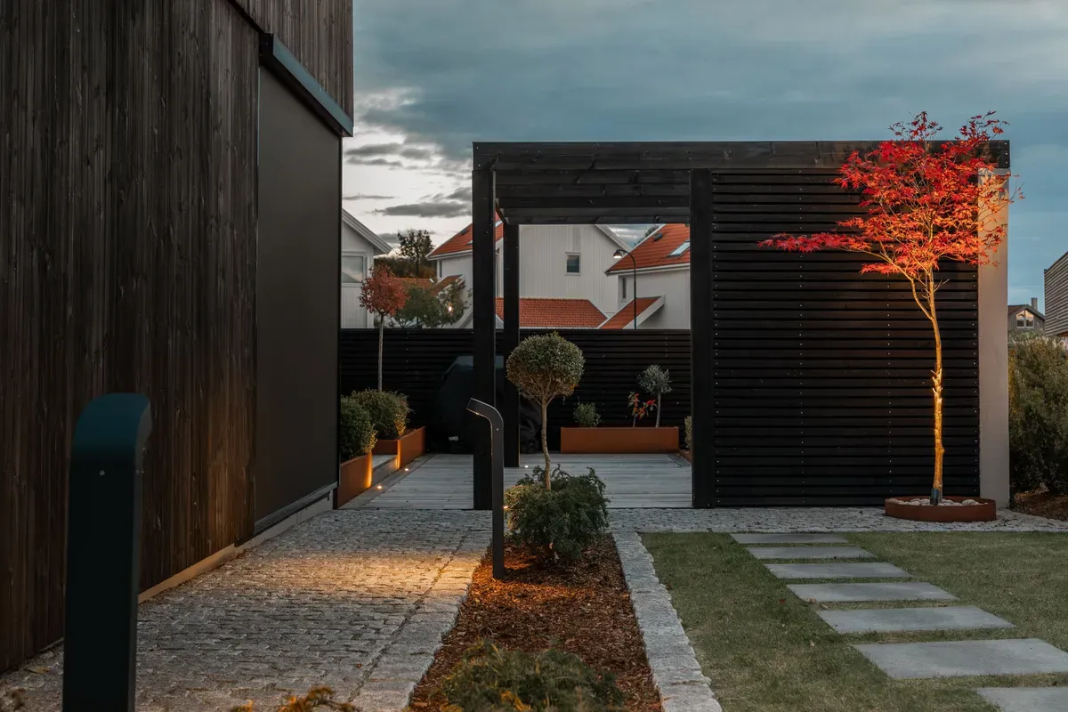 Moderne hage med mørke trepaneler, steinlagt sti og en rød, opplyst lønnetre i hjørnet.