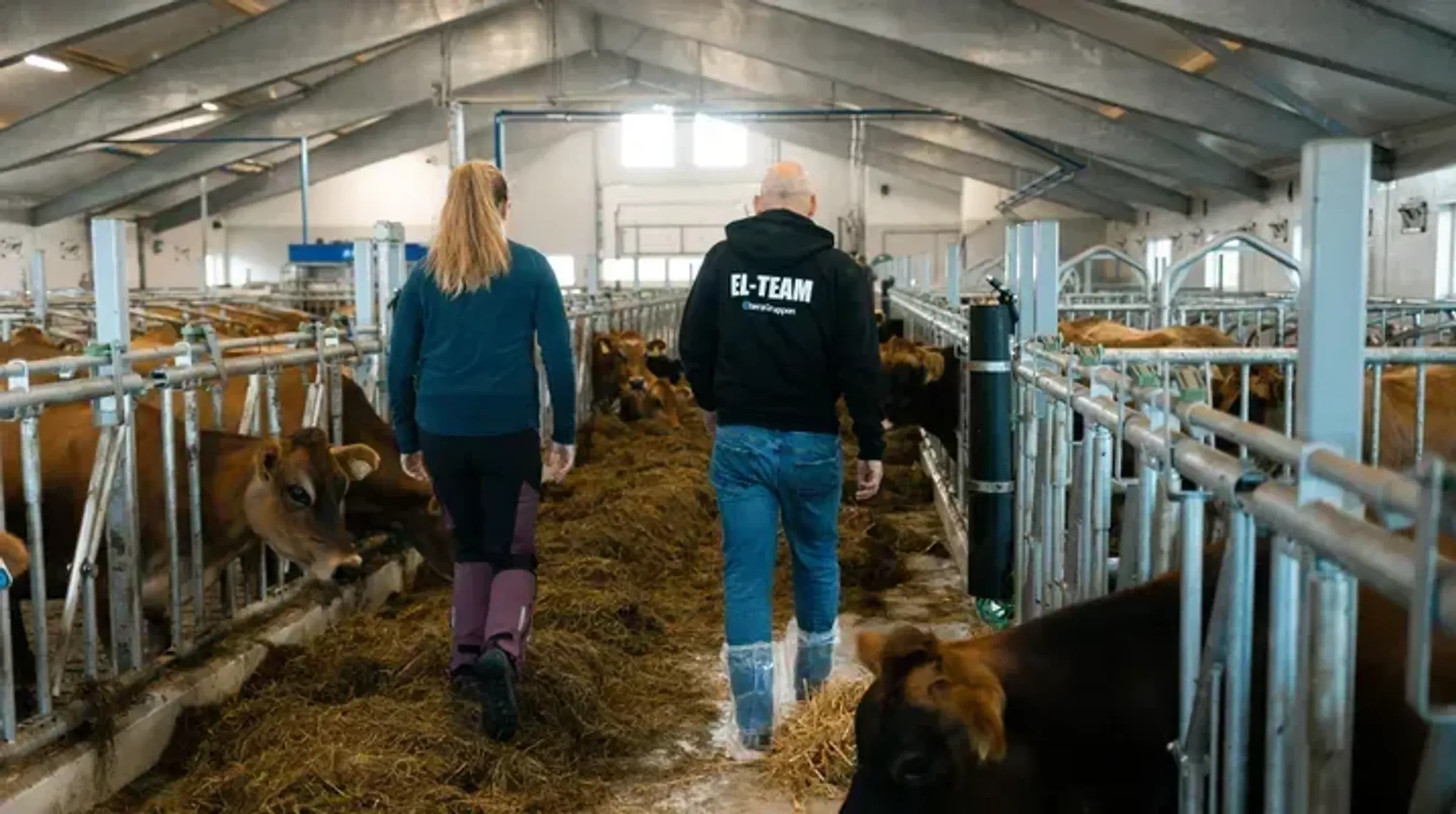 Magnhild Hobberstad Aanestad og El-Team-ansatt går gjennom det nye løsdriftsfjøset.