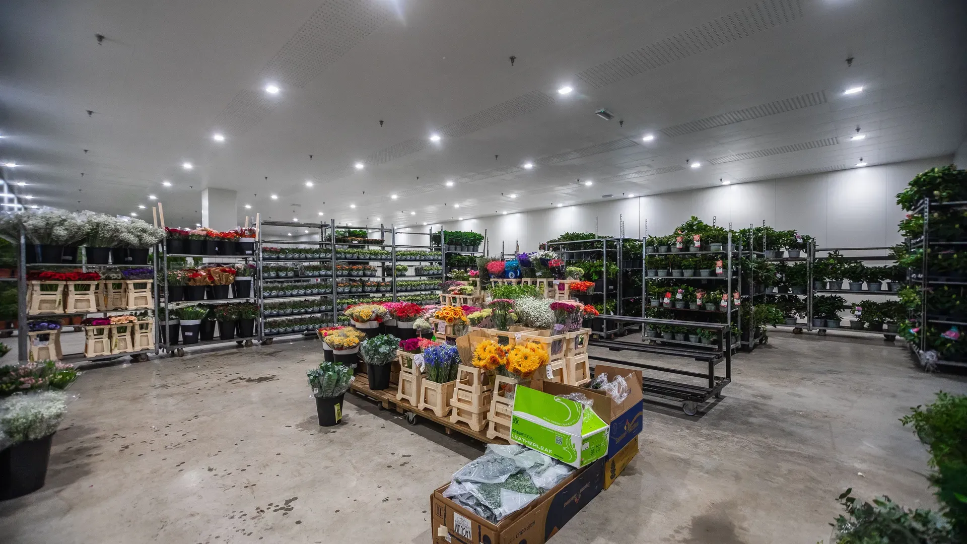 Lager- og logistikkbygg hos Bulkwood med elektro fra SEKO Elektro, her i blomsteravdelingen.
