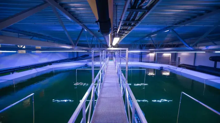 Gangbro over et stort innendørs fiskeoppdrettsbasseng med blå belysning og industriell konstruksjon.
